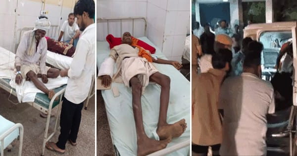 राजस्थान के बारां में हादसा : नेशनल हाईवे पर मवेशी को बचाने के चक्कर में पलटी जीप, मामा-भांजा समेत 4 की मौत