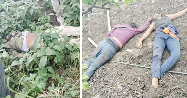 नागदा : खेत में मिले 3 युवकों के शव, पास में मिला बिजली का टूटा तार, करंट लगने की आंशका; पक्षी पकड़ने आए थे तीनों