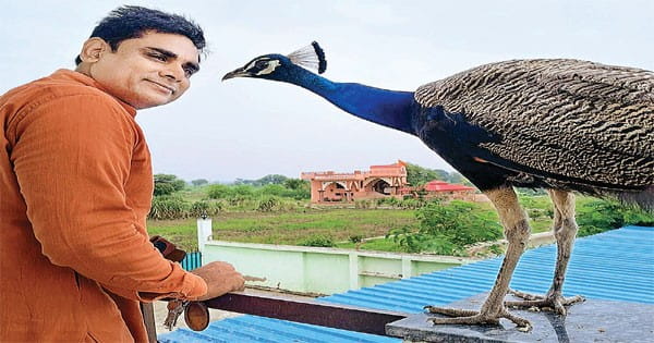 मोर और थानेदार की दोस्ती बनी चर्चा का विषय