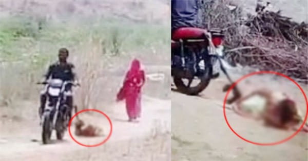 राजस्थान : पति ने पत्नी को बाइक से बांधकर घसीटा, VIDEO वायरल, आरोपी गिरफ्तार; जानें पूरा मामला