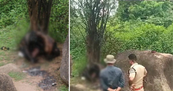 छतरपुर में दिल दहला देने वाली घटना : पहाड़ी पर मिले युवक-युवती के अधजले शव, जांच में जुटी पुलिस