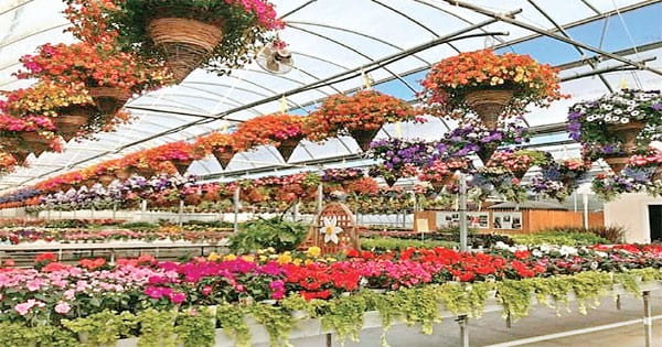 दुबई के मिरेकल गार्डन की तर्ज पर ग्वालियर में बनेगा फ्लोरिकल्चर गार्डन