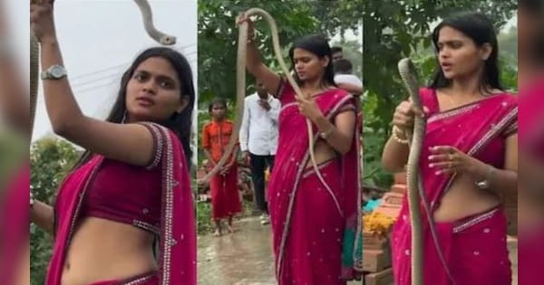 VIRAL VIDEO : साड़ी में नजर आती हसीना के जलवे बेकाबू, लेकिन नाग-नागिन को करती है काबू