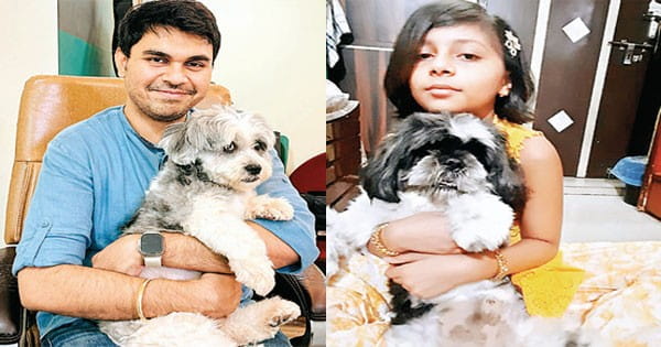 बारिश में फर वाले डॉग्स को ब्लो ड्रायर से सुखाएं