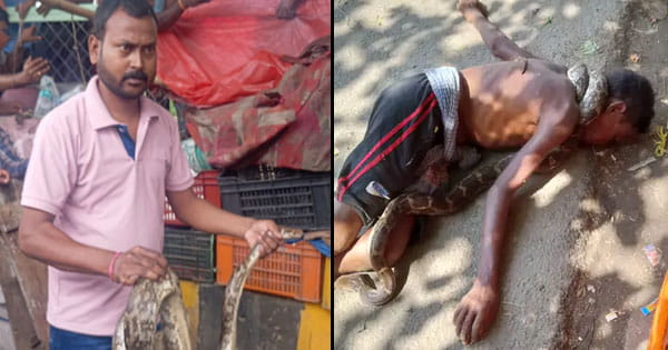 जमशेदपुर में अजगर ने जकड़ा युवक का गला, दम घुटने से मौत, गले में सांप लटका कर कमाता था पैसा