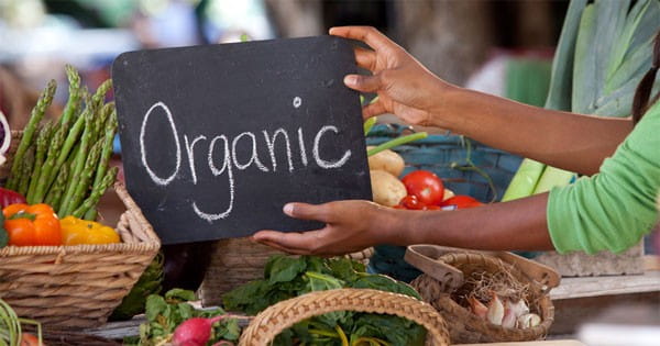 केमिकल फ्री अनाज के लिए ऑर्गेनिक प्रोडक्ट्स का सर्टिफिकेशन जरूर देखें