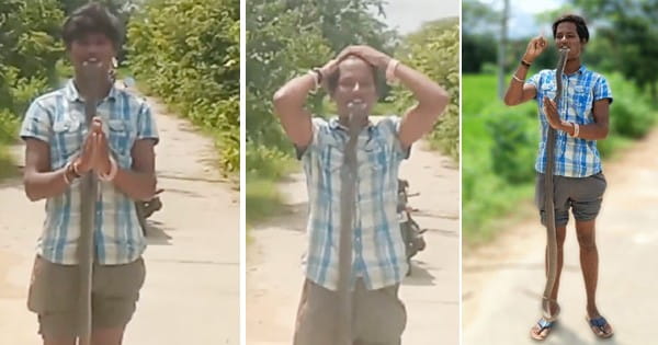 Viral Video : कोबरा के फन को मुंह में दबाया और हाथ जोड़े… फिर जो हुआ वह रोंगटे खड़ा कर देगा