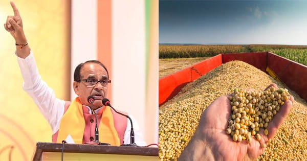 कृषि मंत्री शिवराज सिंह चौहान बोले- MSP पर खरीदेंगे सोयाबीन, मध्य प्रदेश सरकार को देंगे तत्काल अनुमति