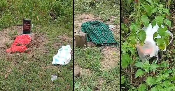 Bhopal Crime News : राजधानी में 3 से 4 बच्चों की कब्र मिलने से सनसनी, नगर निगम अमला मौके पर पहुंचा