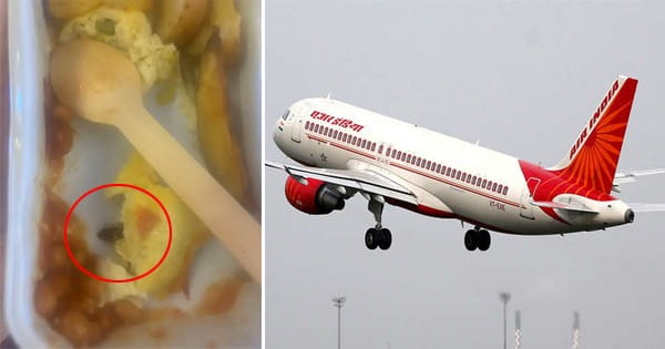 एअर इंडिया फ्लाइट में परोसे गए खाने में मिला कॉकरोच, मां-बेटा बीमार; एयरलाइन ने जांच के दिए आदेश