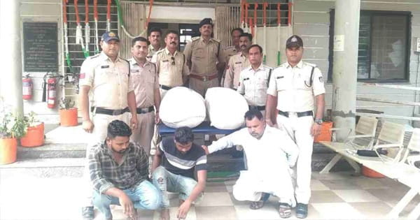 Harda News : कार की डिग्गी से 70 किलो गांजा जब्त, 3 आरोपी गिरफ्तार; नागपुर से हरदा बेचने आए थे बदमाश