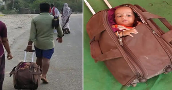 शादी के 12 साल बाद पूरी हुई मन्नत, मासूम बच्ची को ट्रॉली बैग में लिटा 118 किमी लंबी पदयात्रा पर निकला दंपती