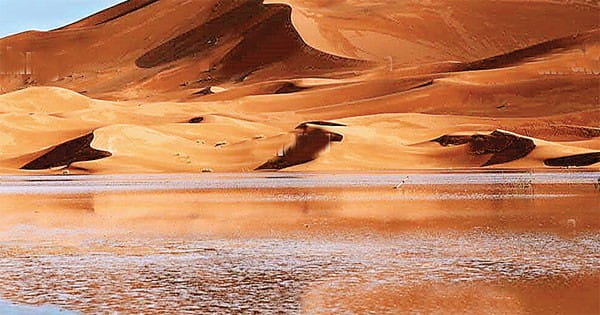 सहारा रेगिस्तान में दुर्लभ बारिश, ताड़ के पेड़ों और रेत के टीलों के बीच बनी झीलें