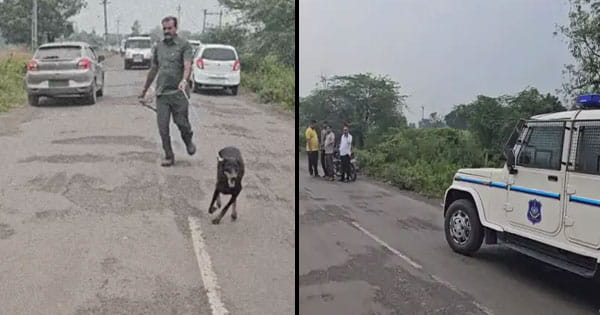 Gujarat News : सूरत में नवरात्रि उत्सव के दौरान हैवानियत, नाबालिग से गैंगरेप, दोस्त से कर रही थी बात, तभी बाइक पर आए युवकों ने बंधक बनाया