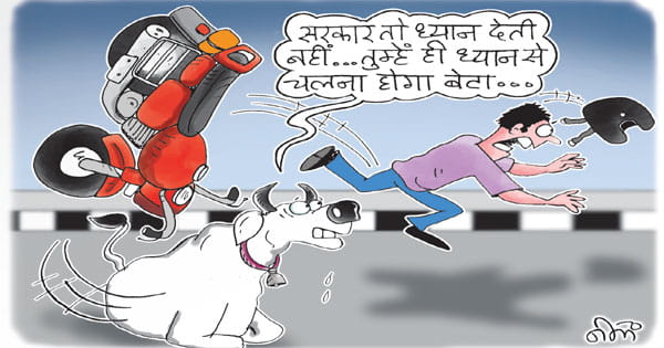 सड़कों के जिद्दी मवेशी... मप्र में हाई-वे से गोवंश हटाने का पायलट प्रोजेक्ट फेल