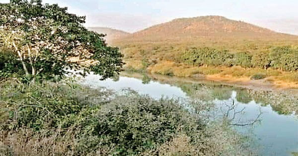 कूनो में अवैध खनन और अतिक्रमण से कई नदियों का अस्तित्व खतरे में