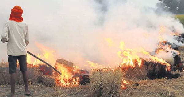 पराली जलाने पर दोगुना हुआ जुर्माना : 30 हजार रुपए तक लगेगी पेनल्टी, सुप्रीम कोर्ट के निर्देश के बाद केंद्र सरकार का फैसला