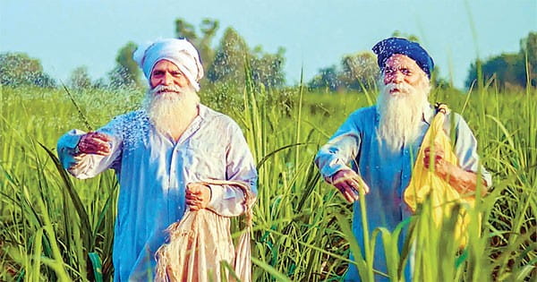 देश में सबसे अमीर हैं पंजाब और हरियाणा के किसान