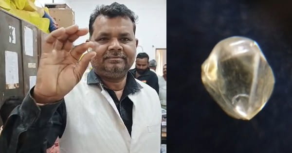 पन्ना में बदली किसान की किस्मत, खेत में मिला 7 कैरेट 44 सेंट का हीरा, 20 लाख रुपए अनुमानित कीमत