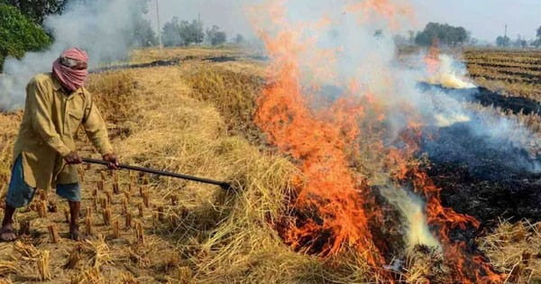 भोपाल में पराली जलाने पर रोक : कलेक्टर ने जारी किया आदेश, 2 महीने के लिए लगाया प्रतिबंध; उल्लंघन पर होगी FIR
