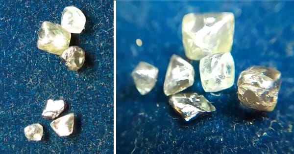 Panna News : हीरों की नगरी पन्ना में फिर चमकी किस्मत, युवक-युवती को मिले 6 नग हीरे, जानें कीमत