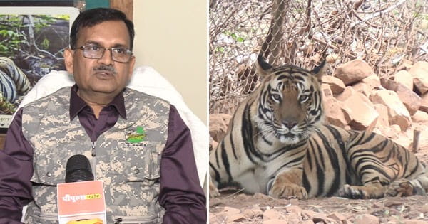 भोपाल में बढ़ती ठंड से जानवर परेशान, वन विहार में लगेंगे पर्दे-हीटर... डाइट में होगा बदलाव; कछुओं के लिए खास इंतजाम
