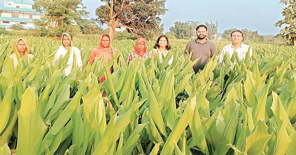 मास्को के खाने का स्वाद बढ़ाएगी जबलपुर की टोटली आर्गेनिक हल्दी