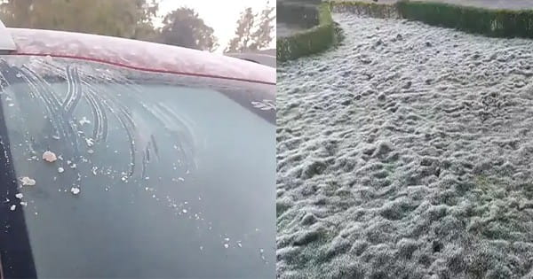 MP Weather Update : हिल स्टेशन पचमढ़ी में जमी बर्फ, सीजन की सबसे सर्द रात, इंदौर में 5 डिग्री लुढ़का पारा