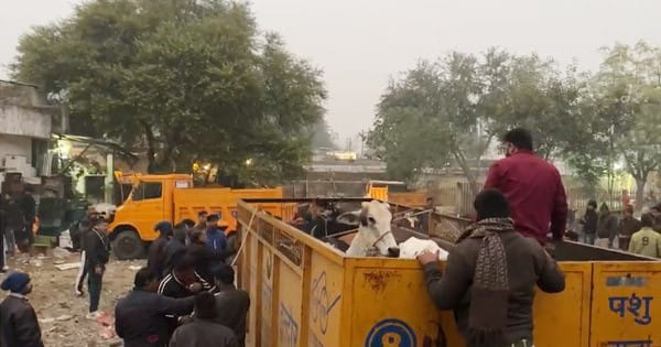 इंदौर में गौशाला हटाने के दौरान झड़प : कांग्रेस नेता का पोस्ट- बजरंग दल आतंकी संगठन, महापौर बोले- ऐसा पोस्ट का कोई अधिकार नहीं