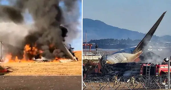 साउथ कोरिया में प्लेन क्रैश : 179 लोगों की मौत, लैंडिग गियर में खराबी से रनवे पर फिसला... बाउंड्री से टकराकर ब्लास्ट, 2 को जिंदा बचाया
