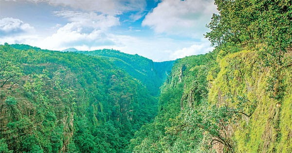 न्यू ईयर सेलिब्रेशन के लिए नेचर व एडवेंचर्स एक्टिविटी वाली लोकेशंस बनीं पर्यटकों की पसंद
