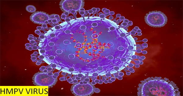 HMPV Virus : कितना खतरनाक है HMPV वायरस, क्या है इसकी मृत्यु दर, चीन के स्वास्थ्य विभाग ने दी जानकारी