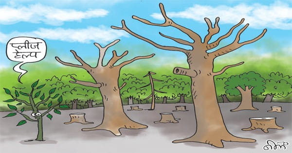 प्रदेश के 17 जिलों में अति घने वन कैसे घटे, आला अफसर खामोश