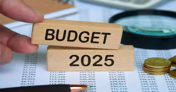 Budget 2025 : सरकार आम बजट में पूंजीगत व्यय और निवेश दर में वृद्धि के लिए उठा सकती है जरूरी कदम