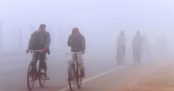 MP Weather Update : भोपाल-सागर समेत 7 जिलों में आज कोल्ड-डे, इंदौर-उज्जैन में छाया कोहरा; कई जगह विजिबिलिटी भी हुई कम