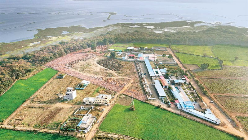 सिमटती भोपाल की बड़ी झील : दलदली जमीन पर उड़ेली जा रही मिट्टी, 300 मीटर अंदर तक हो रहे निर्माण