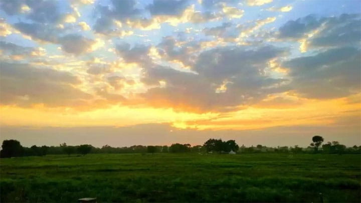 MP Weather Update : प्रदेश में गजब मौसम... दिन में धूप, रात में ठंडक; 12-14 फरवरी को बारिश के आसार