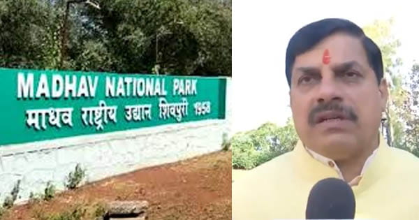 मध्य प्रदेश को जल्द मिलेगी नौंवें टाइगर रिजर्व की सौगात, CM डॉ. मोहन यादव ने किया ऐलान