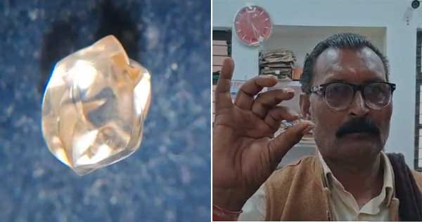 पन्ना : किसान की चमकी तकदीर, 4.24 कैरेट हीरा पाकर बना लखपति, परंपरागत खेती छोड़कर लोग हीरों की तलाश में जुटे