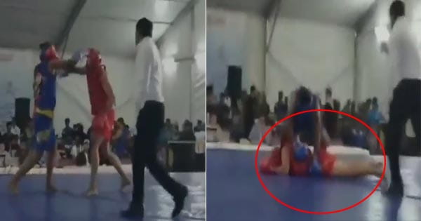 बॉक्सिंग रिंग में आया हार्ट अटैक, चंडीगढ़ में मैच खेलते जयपुर के छात्र की मौत; VIDEO देख उड़ जाएंगे होश
