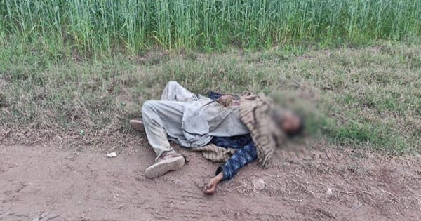 चंडीगढ़ : पठानकोट में भारत-पाक सीमा पर घुसपैठ की कोशिश नाकाम, BSF ने पाकिस्तानी घुसपैठिए को किया ढेर