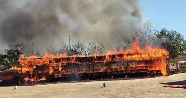 Gwalior News : ग्वालियर की लाल टिपारा गौशाला में लगी भीषण आग, गोवंशों को सुरक्षित निकाला