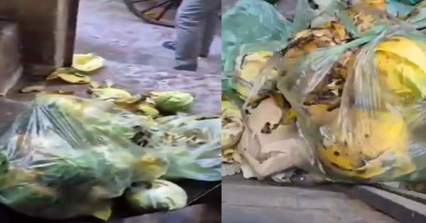 मोहाली के MOMO फैक्ट्री के फ्रिज में मिला कुत्ते का कटा हुआ सिर, बर्तन में भी दिखे मांस के टुकड़े, शरीर का हिस्सा गायब, जांच के लिए भेजे गए मोमोज