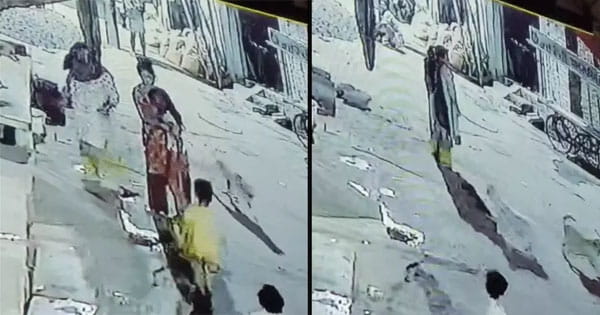 Shajapur News : कुत्तों ने 10 साल की बच्ची पर किया हमला, जांघ पर काटा, CCTV फुटेज आया सामने