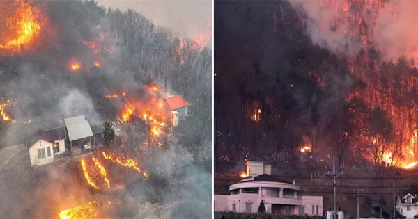 दक्षिण कोरिया में जंगल की आग से भारी तबाही, 18 की मौत, 27 हजार से ज्यादा लोग घर छोड़ने को मजबूर