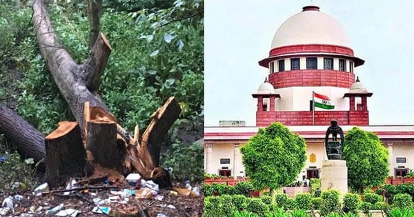 सुप्रीम कोर्ट बोला- बड़ी संख्या में पेड़ों को काटना इंसान की हत्या से भी बड़ा अपराध, 4.54 करोड़ का लगाया जुर्माना