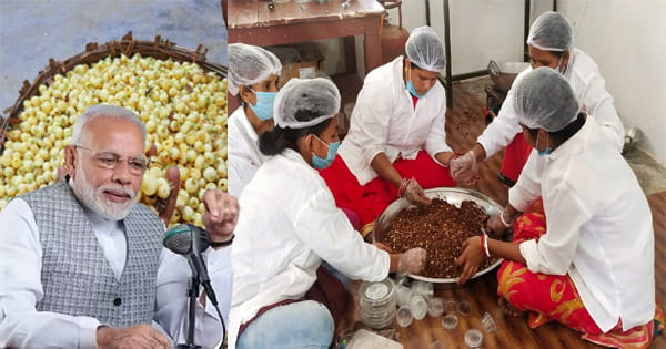 PM मोदी ने ‘मन की बात’ में छिंदवाड़ा के महुआ कुकीज और कृष्ण कमल का किया जिक्र, बीजेपी प्रदेशाध्यक्ष ने सुना कार्यक्रम