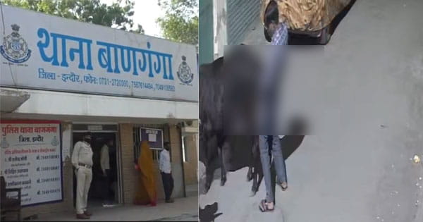 Indore News : पशु के साथ अप्राकृतिक कृत्य करने वाला युवक गिरफ्तार, घटना CCTV में कैद