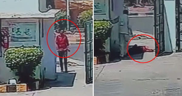 Indore News : फैक्ट्री गेट पर गिरा मजदूर, अस्पताल में मौत, CCTV में कैद हुआ घटनाक्रम, हार्ट अटैक की आशंका