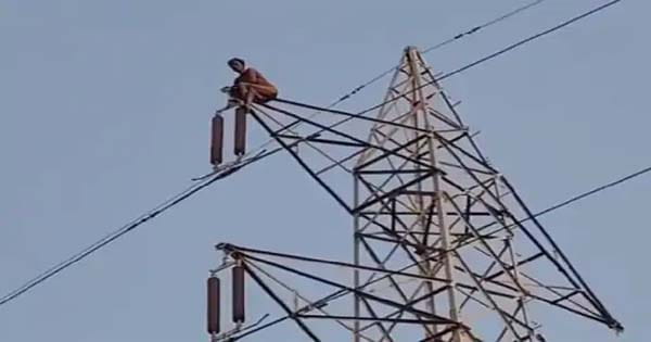 सैलरी न मिली तो हाईटेंशन टावर पर चढ़ा युवक, जबलपुर में 125 फीट ऊंचाई पर 4.5 घंटे बैठा रहा ड्राइवर